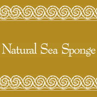 nat-sea-sponge